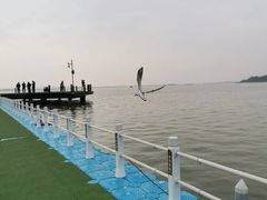 -包头南海湿地景区