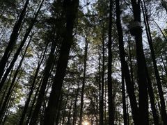 -青山湖景区
