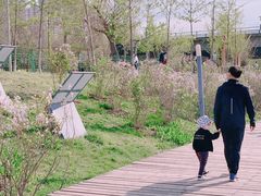 -长白岛森林公园