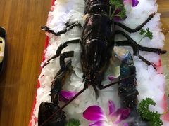 -捞围鲜·港式打边炉(海阳路店)