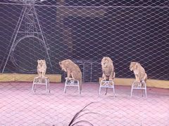 -山西乌金山旅游区