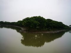 -大湾区中央湿地公园
