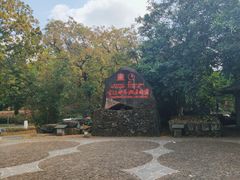 -海口火山口国家地质公园