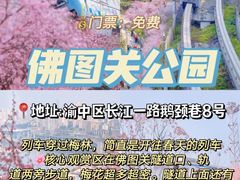 -南山植物园