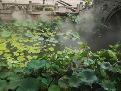-厦门园林博览苑