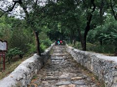 -阳台山自然风景区
