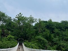 -天生桥景区