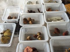 -易门野生菌府·菌海森林(月牙潭公园店)