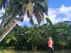 -石梅湾艾美度假酒店