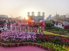 -海心沙亚运公园