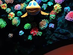 -珠海长隆海洋王国