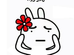 -艾泽瑞斯图文快印打印复印证件照设计名片画册(艾泽瑞斯打印复印洗照片店)