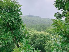-仙山湖景区