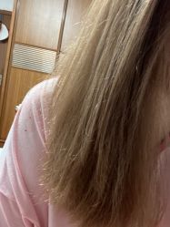 -GANO HAIR 