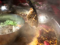 谭公脆毛肚-谭鸭血老火锅(漳州路店)