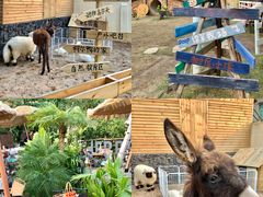 -HERRE·FARM 赫尔露营农场·团建聚会包场