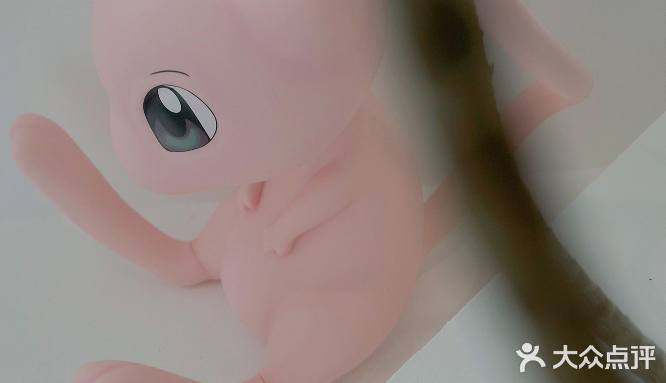 新的故事会在夏日的咖啡中开始