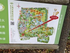 -上海共青森林公园