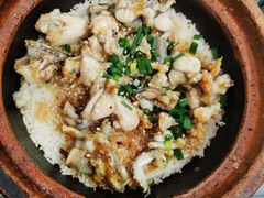 -红星光发煲仔饭(大石街店)