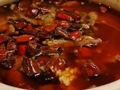 -新蜀会四川豆花(五羊店)