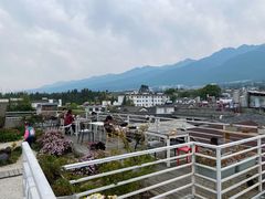 -唐咖精品咖啡(大理古城手冲店)