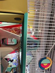 -Eureka优瑞卡儿童主题乐园(合生汇购物中心店)