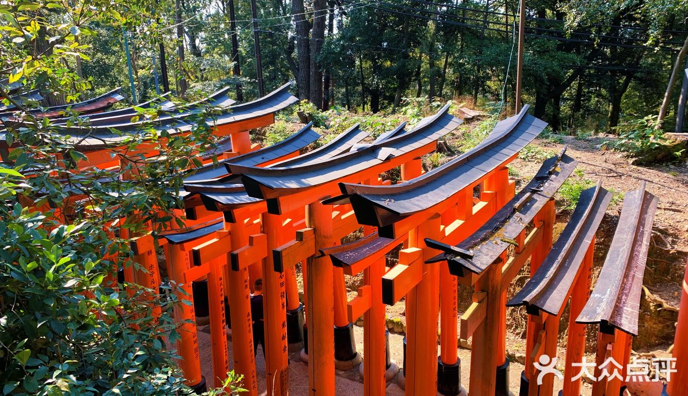 京都·游记