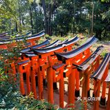 京都·游记