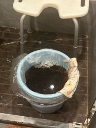-沐恩·贝瑞月子中心(隆福店)