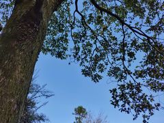-窦圌山风景区