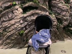 -房山世界地质公园博物馆