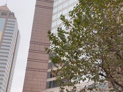 -上海置地广场(南京东路店)