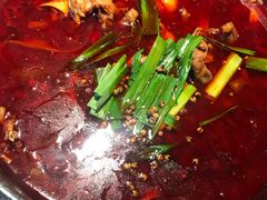 -宽口美蛙鱼头(大唐西市店)