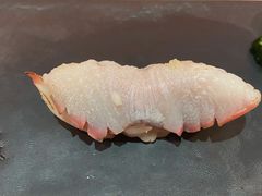 -橼舍鮨青木