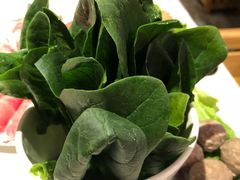 -龙凤禧毛肚火锅(阳光舜城店)