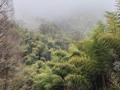 -罗田薄刀峰风景区