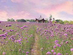 -杭州城北体育公园