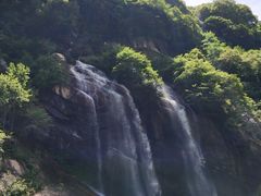 景点-陕西省红河谷森林公园