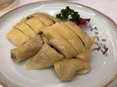 白切走地鸡-松雅轩海鲜酒家(同和店)