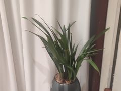 -面辣子·陕西家乡菜(钟楼店)