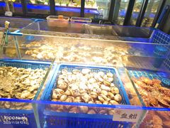 -锅儿欢海鲜火锅烤肉自助餐(东港凯虹店)