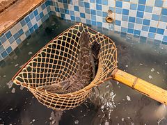 -九寨沟石锅鱼(沣峪口二十年店)
