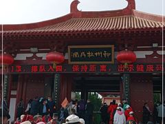 -神州牡丹园