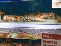 -盒马鲜生(岭南新世界店)