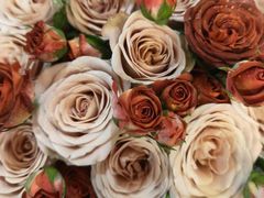 -千滋百味自助海鲜烤肉(布吉景华店)