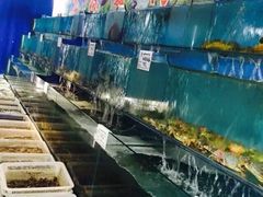 -宏源鑫海鲜餐厅·海景婚宴厅(石老人店)