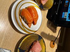 -大起水产回转寿司(道顿堀店)