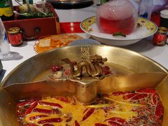 -小龙翻大江文化火锅(宽窄店)