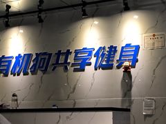 -有机狗·26小时共享健身(36店-哈尔滨国润家饰城店)