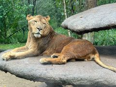 -北京野生动物园